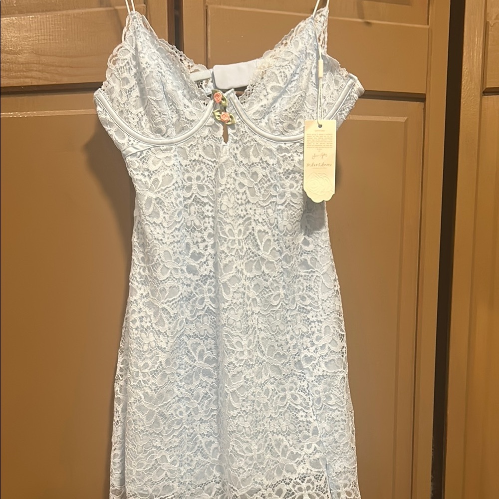 For Love & Lemon Elegant Lace Dress in Light Blue